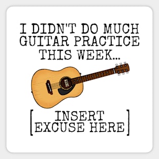 I Didn't Do Much Guitar Practice This Week, Acoustic Guitarist Magnet